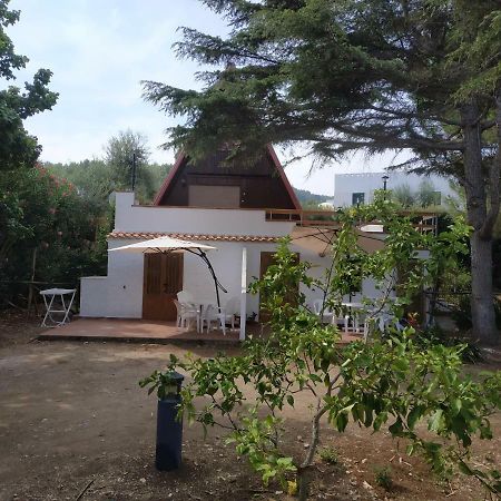 Villino Del Duca Apartment Peschici Exterior photo